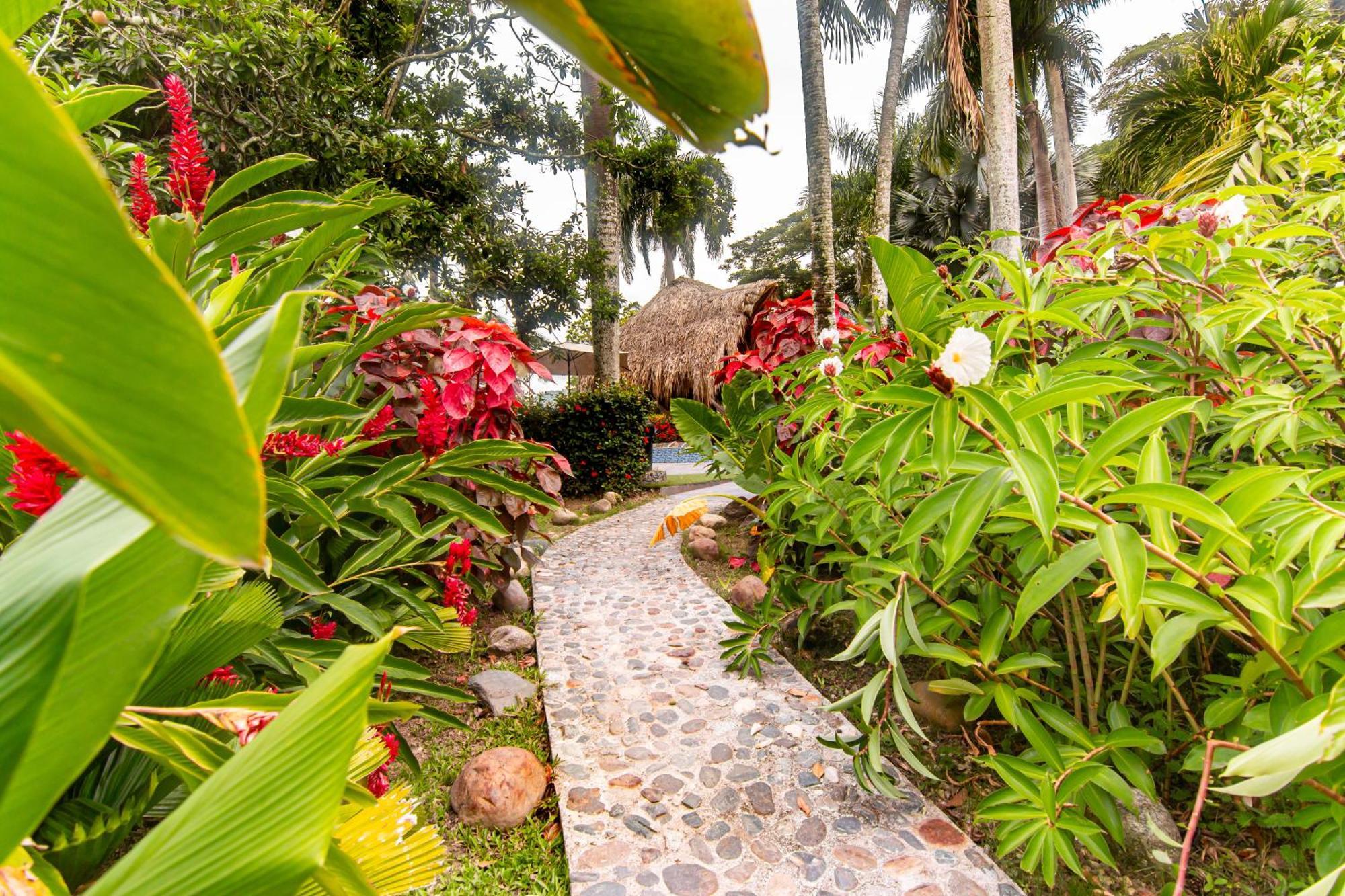 Portales Del Tayrona Garden Hotel Калабасо Экстерьер фото
